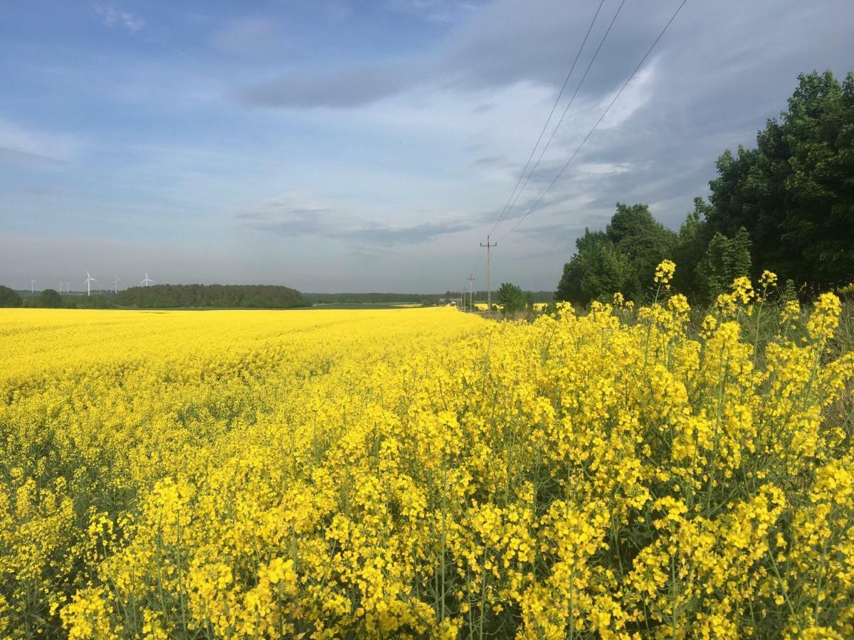 Las, Woda I Przygoda - Dom Z Sauna I Basenem Choczewo Exteriör bild